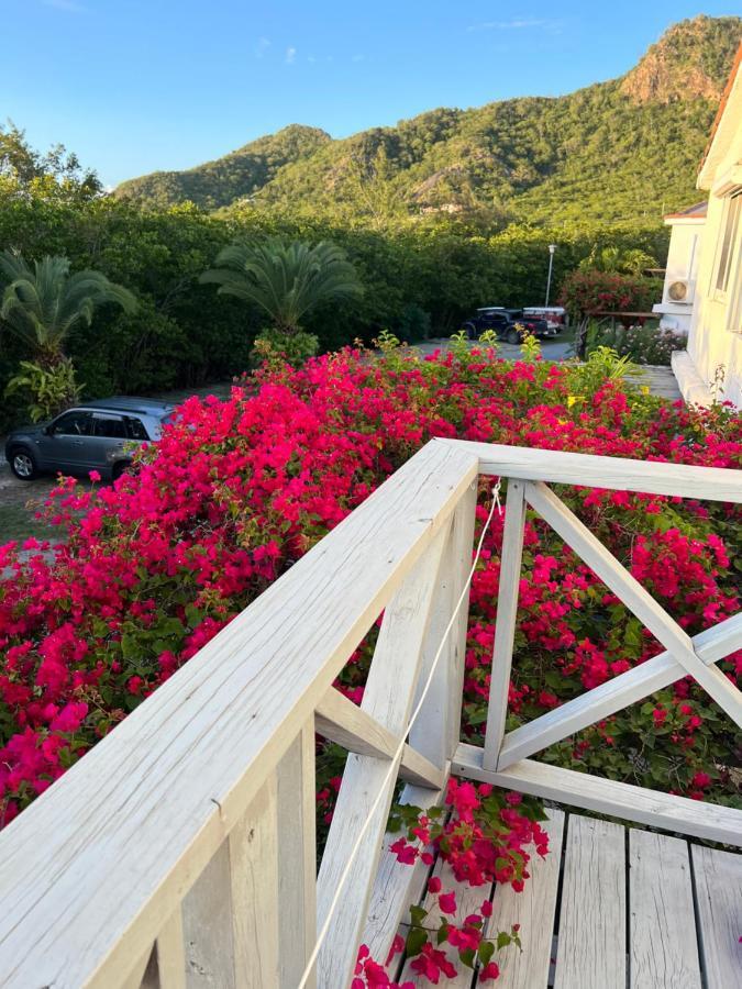 Sunny Villa In The Marina - Excellent Water Views Jolly Harbour エクステリア 写真